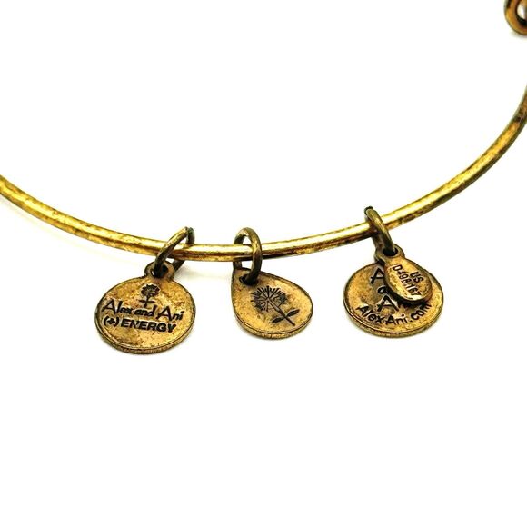 ALEX AND ANI Adjustable Copper M Charm Bracelet in Rafaelian Gold - Picture 2 of 4